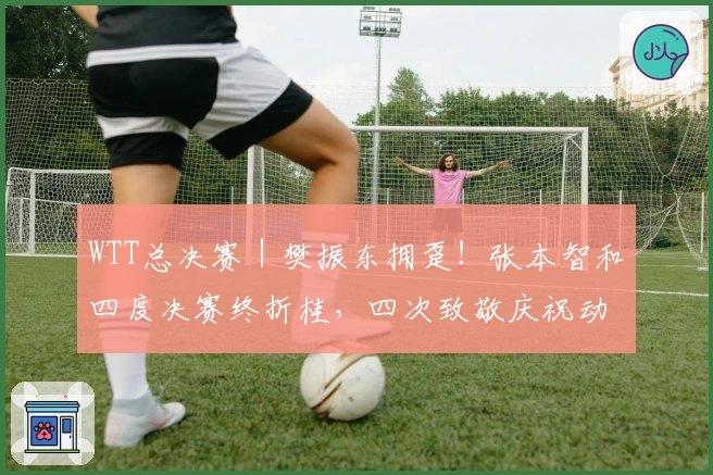 WTT总决赛｜樊振东拥趸！张本智和四度决赛终折桂，四次致敬庆祝动作