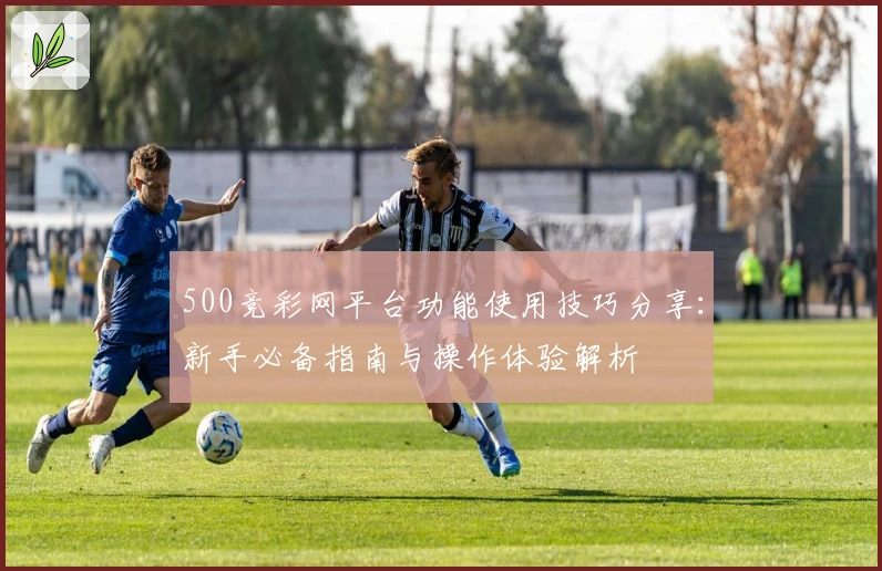 500竞彩网平台功能使用技巧分享：新手必备指南与操作体验解析